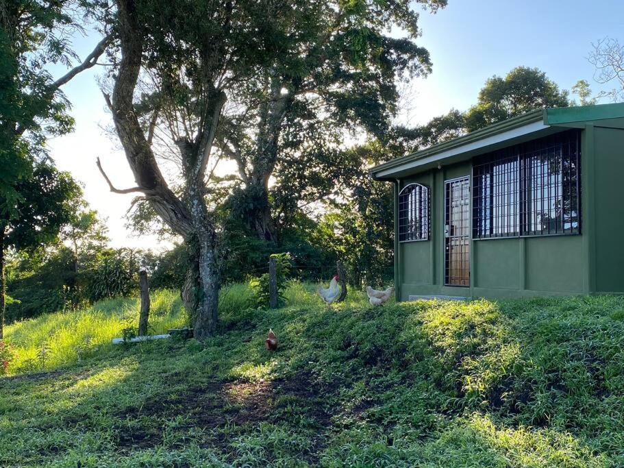 Basecamp Arenal Aparthotel Tronadora Esterno foto